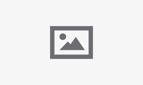 株式公開しました。